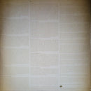 Foster The People - Paradise State Of Mind (LP) - Discords.nl