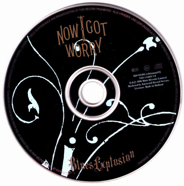 Jon Spencer Blues Explosion, The - Now I Got Worry (CD Tweedehands)
