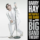 Hay, Barry - Big Band Theory (LP) - Discords.nl