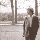 David Sylvian - Brilliant Trees (CD Tweedehands)