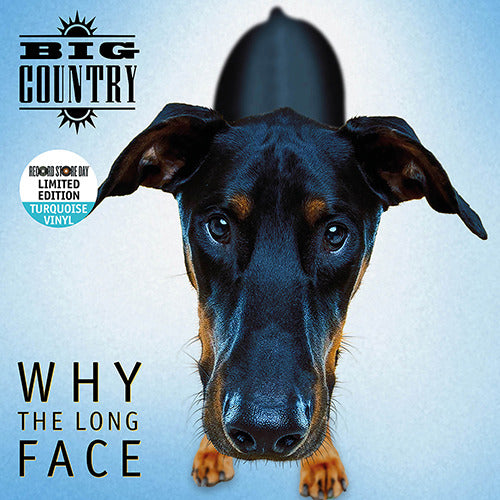 Big Country - Why The Long Face (LP)