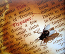 Tiles - Fly Paper (CD Tweedehands) - Discords.nl