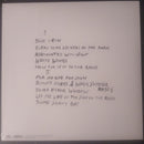 Lael Neale - Acquainted With Night (LP) - Discords.nl