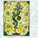 Steve Earle - I Feel Alright (CD Tweedehands) - Discords.nl