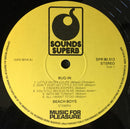 Beach Boys, The - Bug-In (LP Tweedehands) - Discords.nl