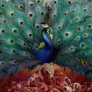 Opeth - Sorceress (CD) - Discords.nl