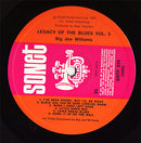 Big Joe Williams - The Legacy Of The Blues Vol. 6 (LP Tweedehands)