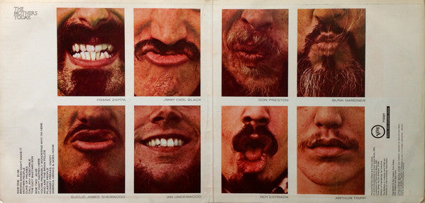 Mothers, The - Mothermania - The Best Of The Mothers (LP Tweedehands)