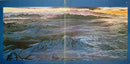 Santana - Moonflower (LP Tweedehands)