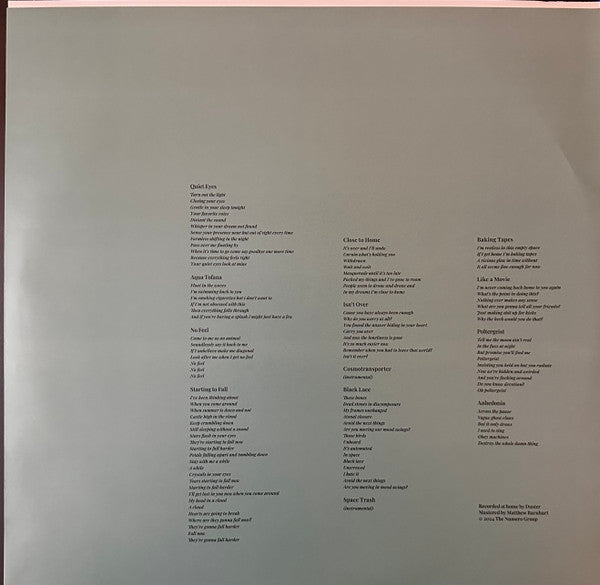 Duster - In Dreams (LP) - Discords.nl