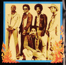 Meters, The - Fire On The Bayou (CD Tweedehands) - Discords.nl