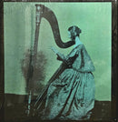 TV Girl - Grapes Upon The Vine (LP) - Discords.nl