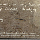 Angie McMahon - Salt (LP) - Discords.nl