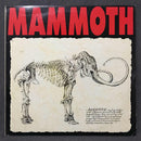 Mammoth  - Mammoth (LP Tweedehands) - Discords.nl