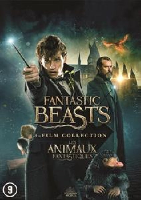 Movie - Fantastic beasts 1-3 (DVD Music)