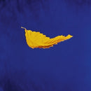 New Order - True faith (12-inch) - Discords.nl
