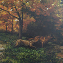 Tyler Childers - Snipe Hunter (LP) - Discords.nl