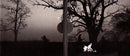 Don Henley - Cass County (CD Tweedehands) - Discords.nl