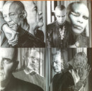 Skunk Anansie - The Painful Truth (LP) - Discords.nl