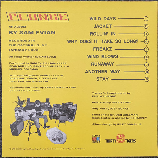 Sam Evian - Plunge (LP) - Discords.nl