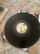 Natasha Bedingfield - Unwritten (LP)