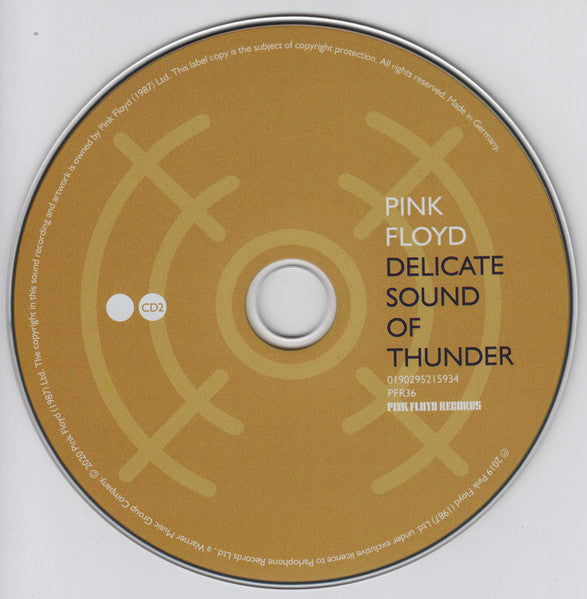 Pink Floyd - Delicate Sound Of Thunder (CD)