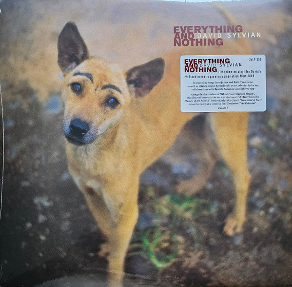 David Sylvian - Everything And Nothing (LP)