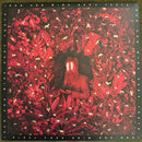 Iron And Wine - Hen's Teeth (LP) - Discords.nl