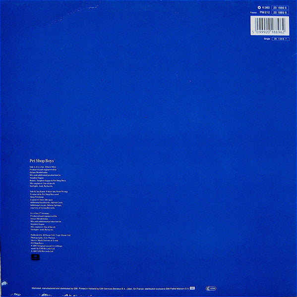 Pet Shop Boys - It's A Sin (LP Tweedehands)