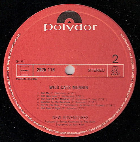 New Adventures - Wild Cats Moanin' (LP Tweedehands)