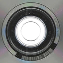 Ann Wilson - Fierce Bliss (CD) - Discords.nl