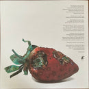 Wilco - Hot Sun Cool Shroud (LP) - Discords.nl