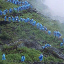 Courtney Barnett - End Of The Day (Milky Clear Vinyl) (8-9-2023) (LP) - Discords.nl