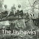 Jayhawks, The - Tomorrow The Green Grass (CD Tweedehands)