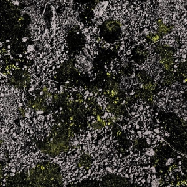 King Gizzard & The Lizard Wizard - Infest the rats nest (LP) - Discords.nl