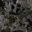 King Gizzard & The Lizard Wizard - Infest the rats nest (LP) - Discords.nl