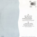Gloria Estefan - Oye Mi Canto (Hear My Voice) (7-inch Tweedehands)