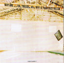 Big Head Todd And The Monsters - Sister Sweetly (CD Tweedehands)