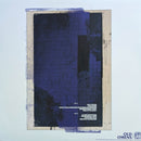 John Moreland - Birds In The Ceiling (LP) - Discords.nl