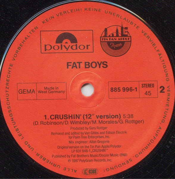 Fat Boys And Beach Boys, The - Wipeout! (12" Tweedehands)