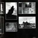 Pink Floyd - Animals (LP Tweedehands)