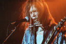Neil Young - Hurricane (DVD Tweedehands) - Discords.nl