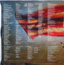 Rise Against - Endgame (LP)