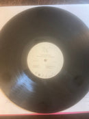 Chanel Beads - Your Day Will Come (LP)