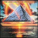 Love Unlimited Orchestra - Rise (LP Tweedehands)