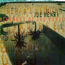 Joe Henry - Kindness Of The World (CD Tweedehands)