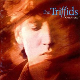 Triffids, The - Calenture (LP Tweedehands)