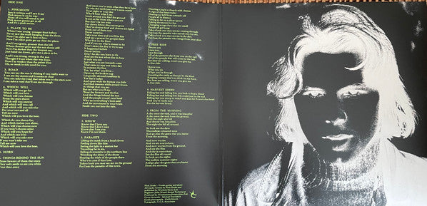 Nick Drake - Pink Moon (LP) - Discords.nl