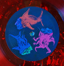 Goat Girl - Below The Waste (LP) - Discords.nl