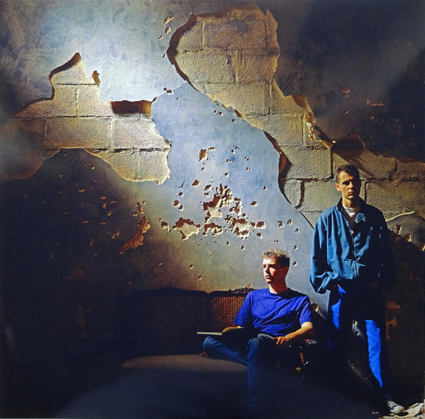 Pet Shop Boys - Actually (LP) - Discords.nl